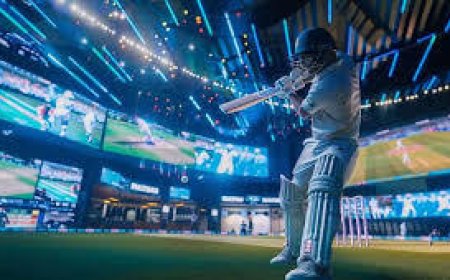 From Signup to First Bet: Your Winning Journey Starts with Tiger Exchanges 247