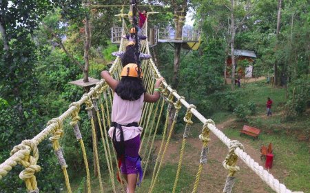 Explore the World Easily with Customized Holiday Packages