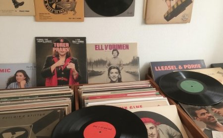 Iconic Concerts and Studio Sessions Captured on Indian Vinyl