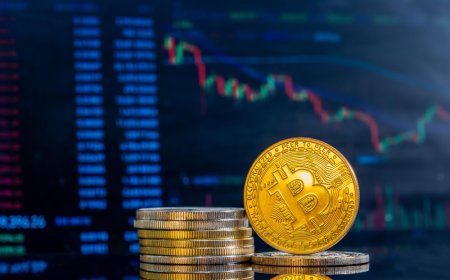 How Crypto Calculators Help in Risk Management