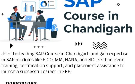 Best SAP Training in Chandigarh