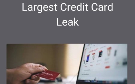 Briansclub Exposed: Inside the Web’s Largest Credit Card Leak