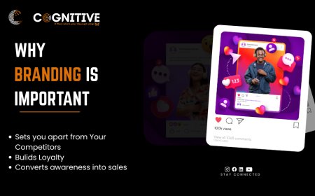 Digital Marketing Agency in Hyderabad