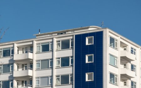 Neighbourhoods on the Rise: Discover Growing Property Hotspots with Reeltor