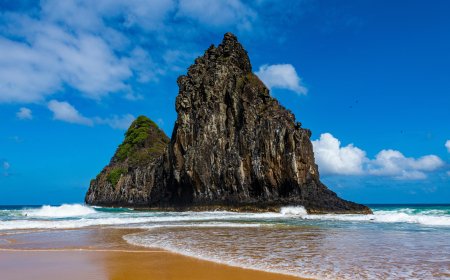 Your Complete Guide to the Turkish Airlines New York City Office