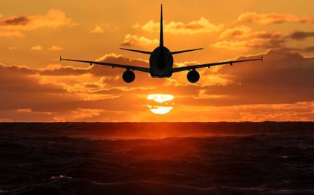 Frontier Airlines Raleigh Office: Your Guide to Convenient Air Travel Support