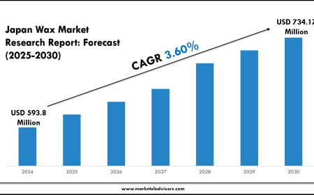 Japan Wax Market Outlook & Forecast Insights (2025–2030)