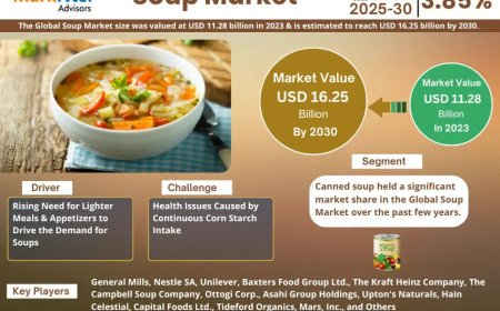Pasta Market Set for Explosive Growth with 6.8% CAGR by 2030