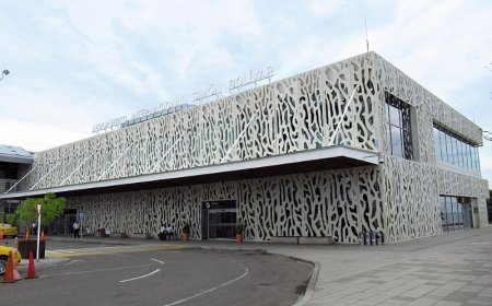 Your Complete Travel Guide to the Spirit Airlines Las Vegas Terminal at Harry Reid International Airport