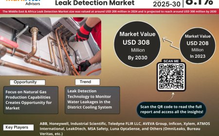 Why Middle East & Africa Leak Detection Market Is Booming: Key Insights & Stats
