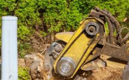The Ultimate Guide to Stump Grinding: Everything You Need to Know
