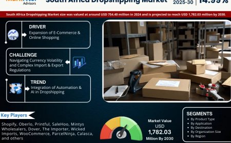 Why South Africa Dropshipping Market Is Booming: Key Insights & Stats