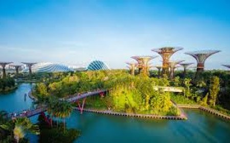 Is a Travel Agency in Lahore Worth It? 8 Things to Consider