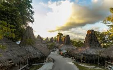 7 Questions to Ask Before Booking Travel and Tour Packages