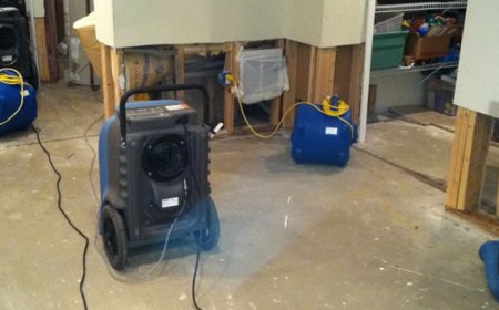Water Damage Cleanup A Simple Guide for Homeowners
