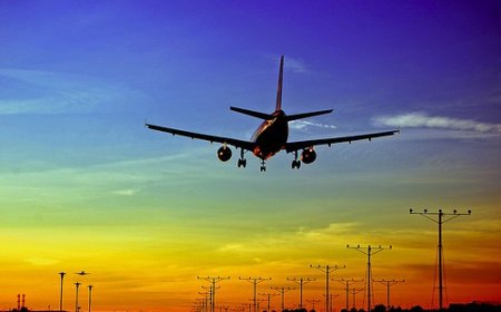 Get Human Help for Flight Rebooking on Southwest or Breeze