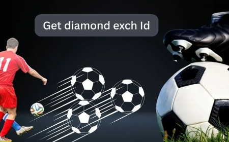 Experience Smart Wagering with King Exchange ID and King Exchange Betting