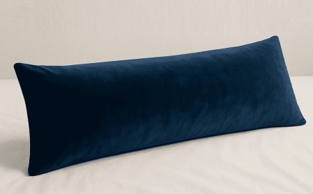 Shop Full Body Pillow for Pregnancy & Back Support