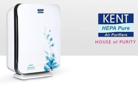 Room Air Purifiers for Allergy Sufferers: Which Models Work Best?