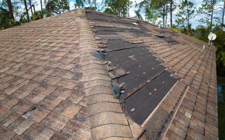 How Long Does Roof Installation Take? Timeline Breakdown by Roof Type