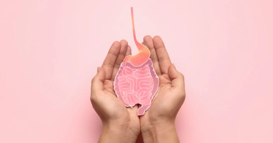 Fertility Treatments in Bangalore: Which Clinic Offers the Latest Techniques?