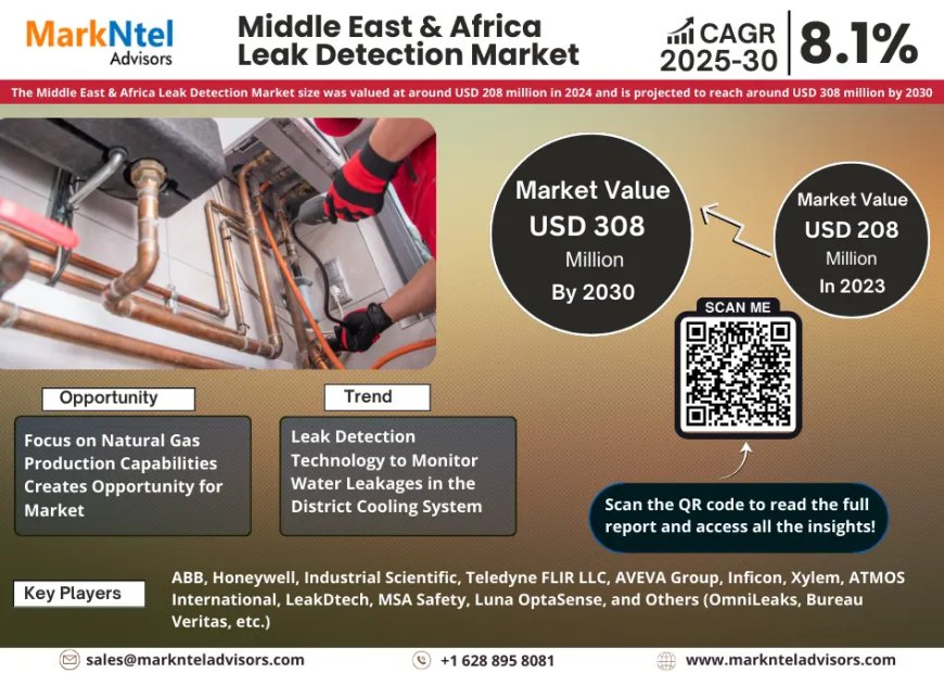 Why Middle East & Africa Leak Detection Market Is Booming: Key Insights & Stats