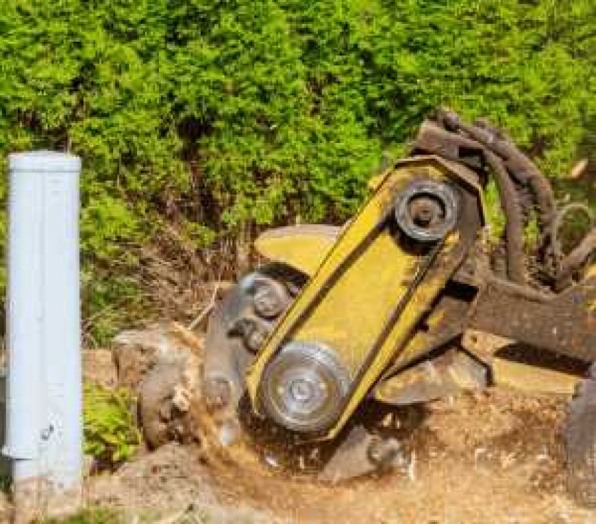 The Ultimate Guide to Stump Grinding: Everything You Need to Know
