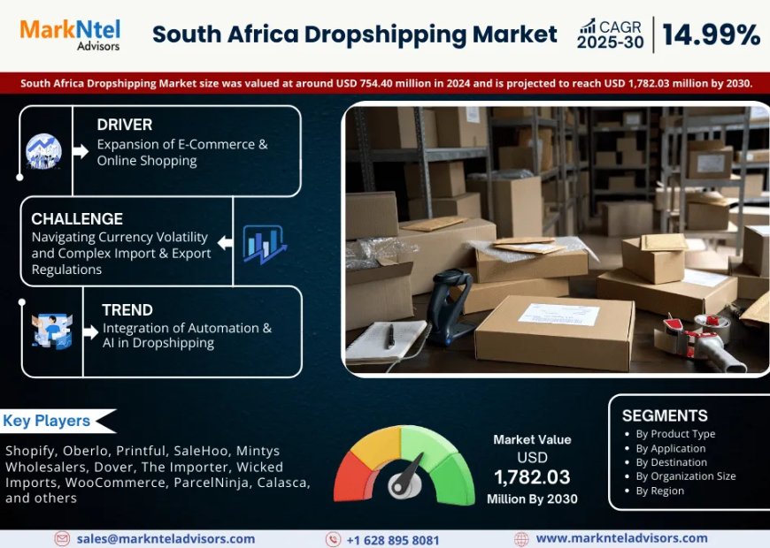 Why South Africa Dropshipping Market Is Booming: Key Insights & Stats