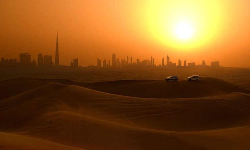 Experience the Magic of Morning Desert Safari