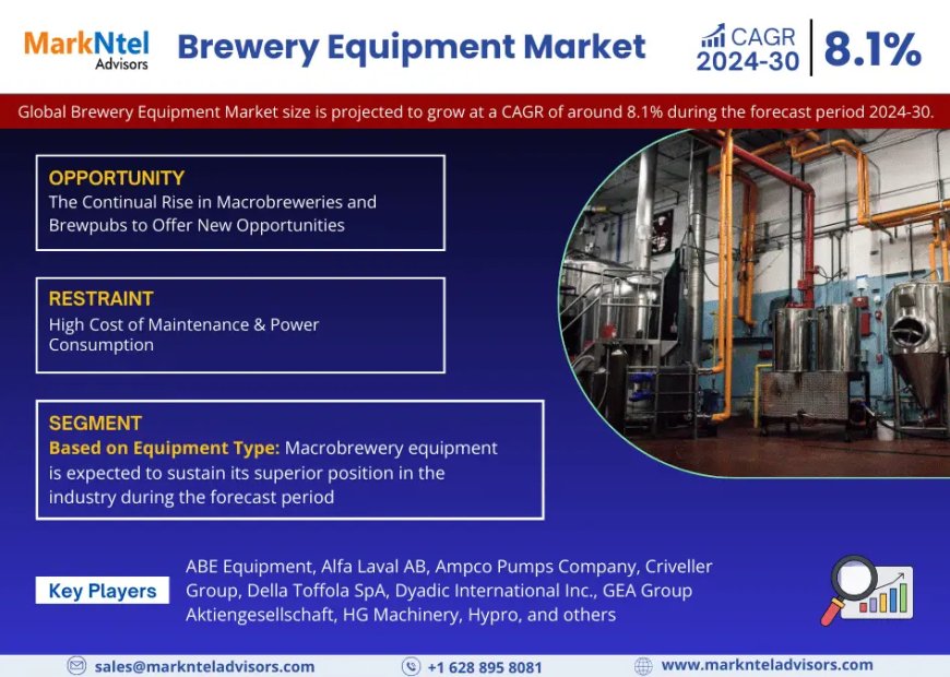Why Brewery Equipment Market Is Booming: Key Insights & Stats