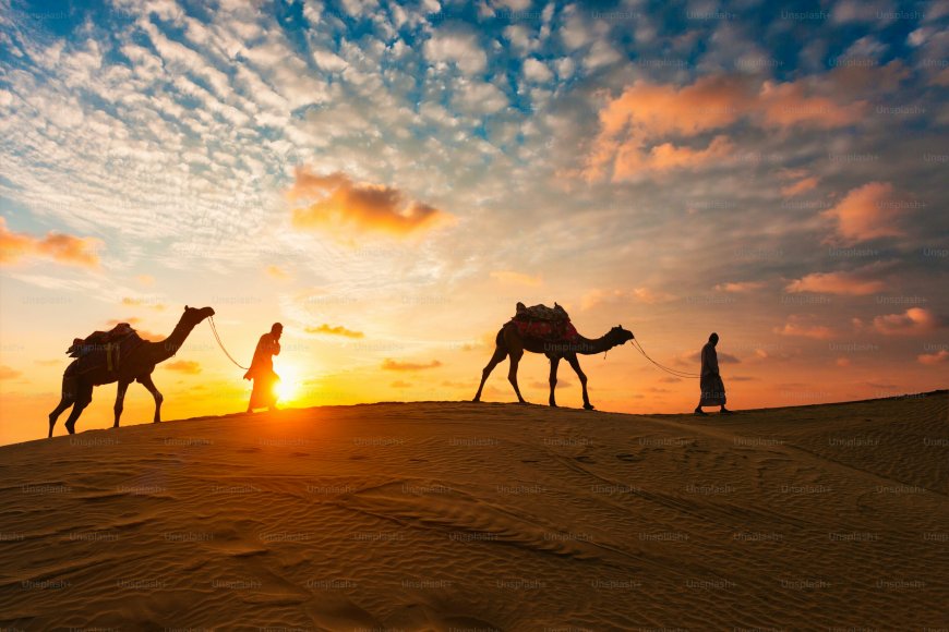 Sharjah vs Dubai: Which Desert Safari Should You Choose?
