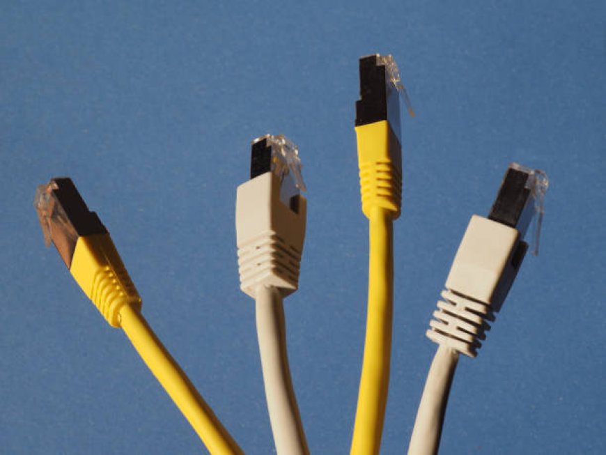 Everything You Didn’t Know About Network Cable Jackets