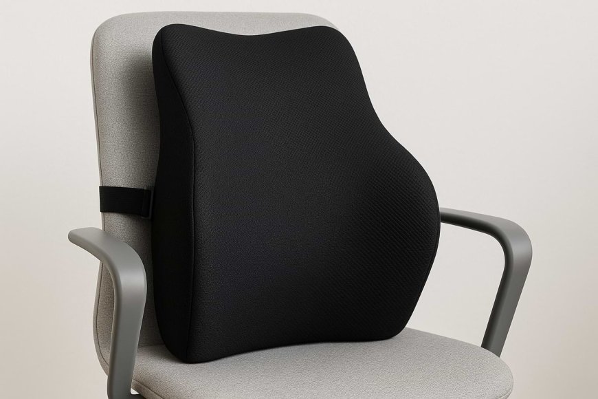 Back Support for Chair: The Key to Comfortable Sitting and a Healthy Spine