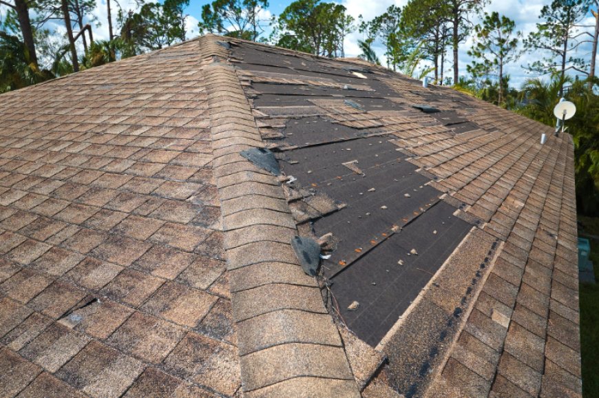 How Long Does Roof Installation Take? Timeline Breakdown by Roof Type