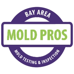 bayareamoldpros